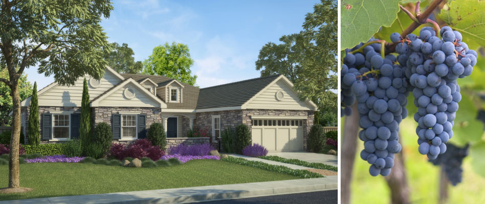 New Ponderosa Homes In Pleasanton New Ponderosa Homes In Pleasanton