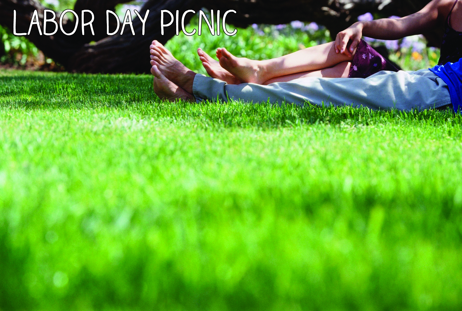Labor Day Picnic