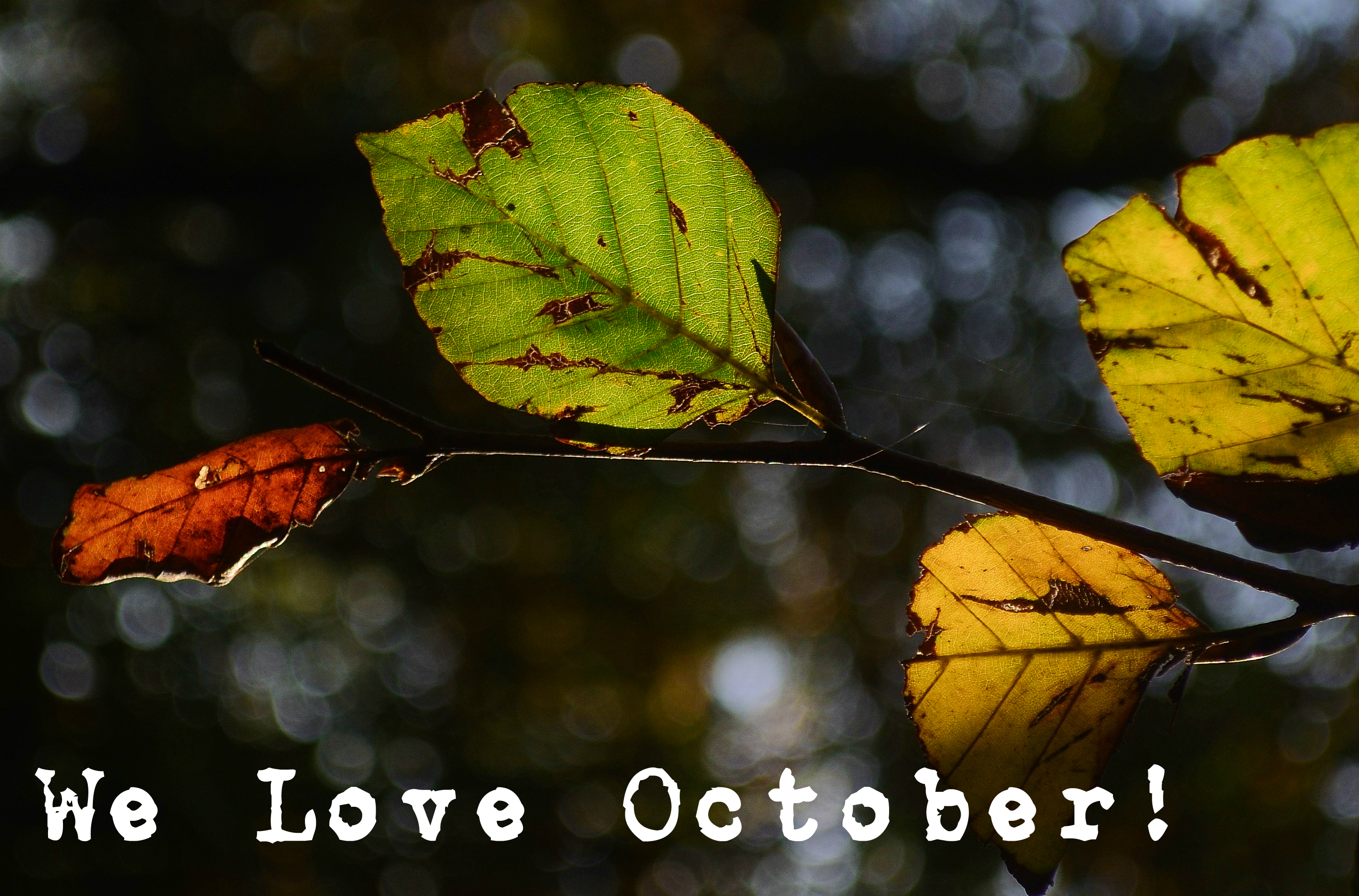 We Love October