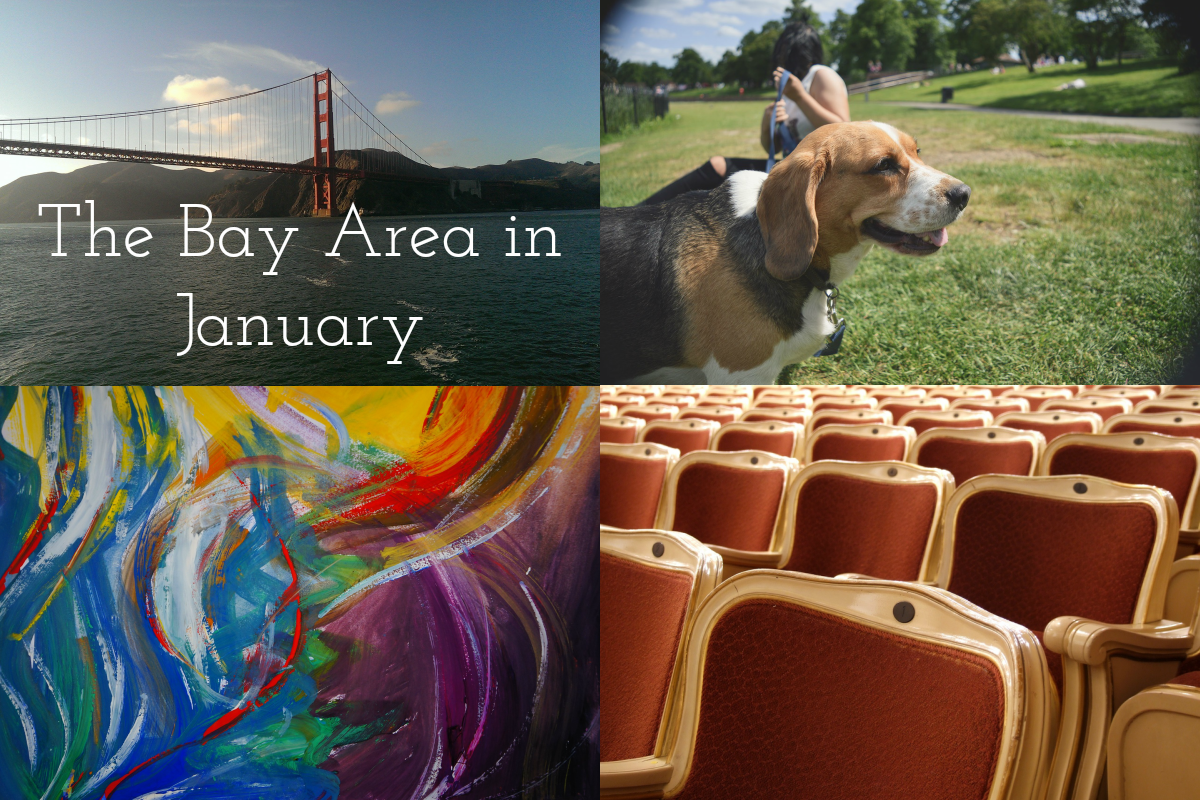 The Bay Area in January