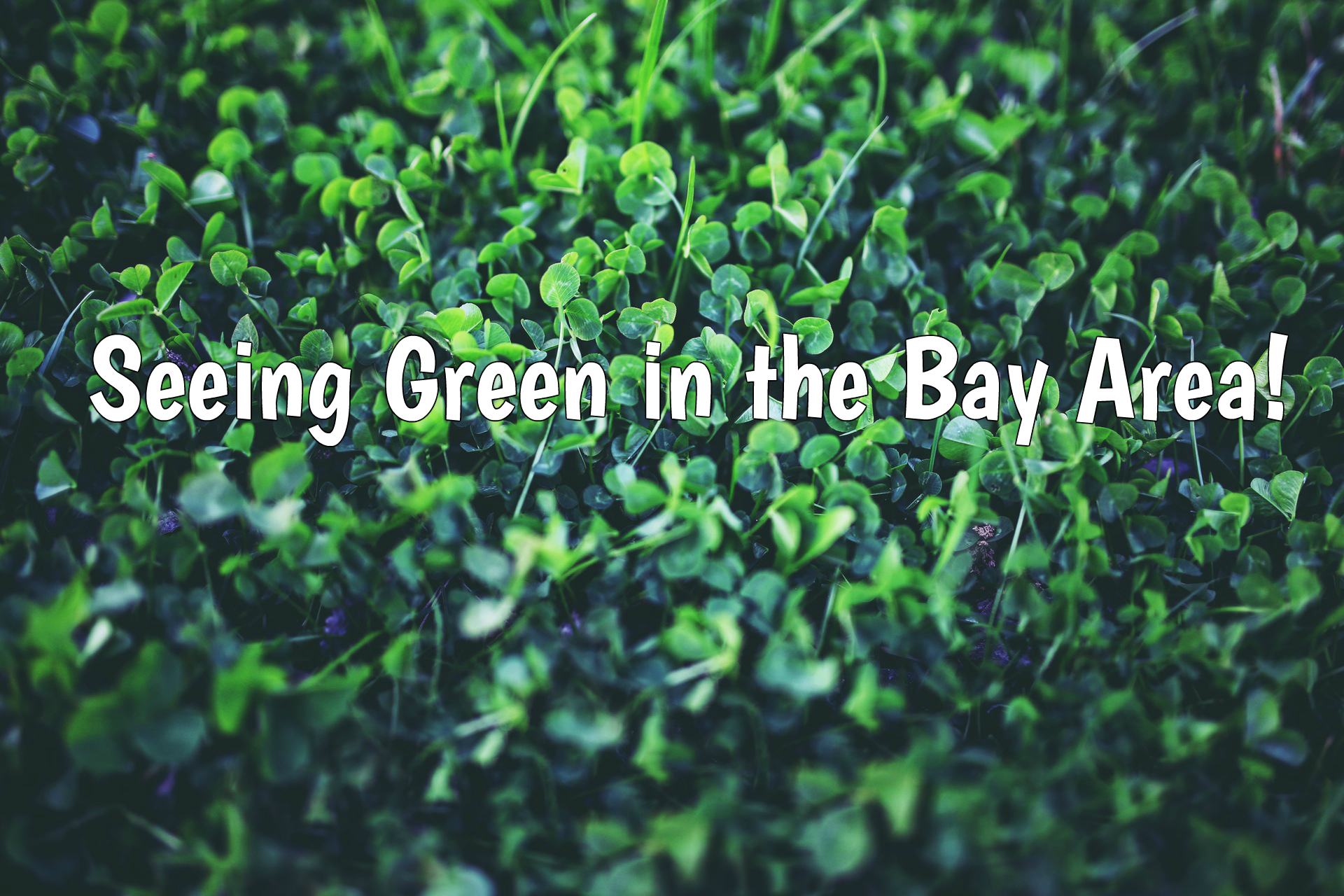 Seeing Green in the Bay Area