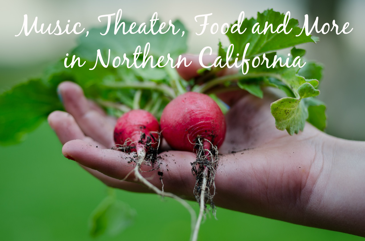 Music, Theater, Food and More in Northern California