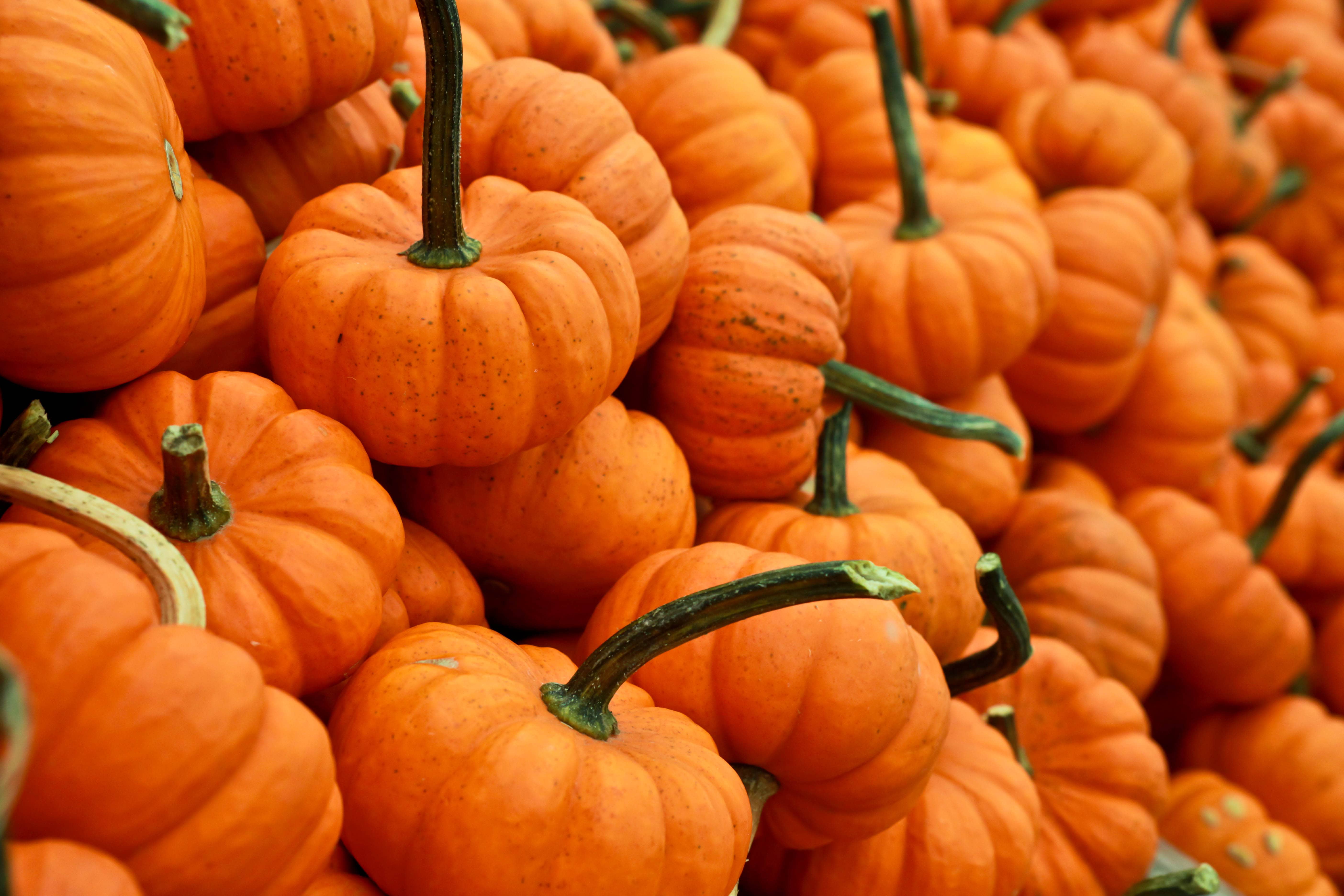 October Events