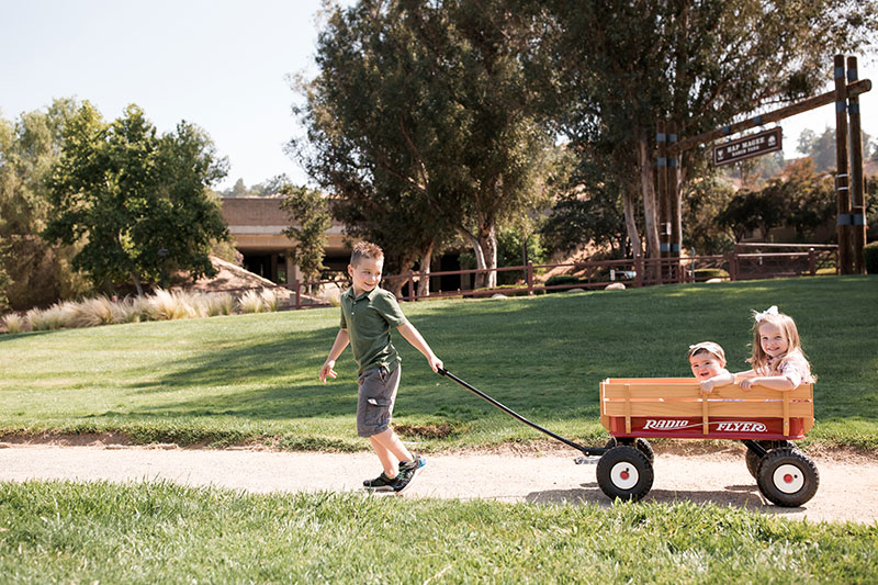 Fall Maintenance Tips- Ponderosa Homes